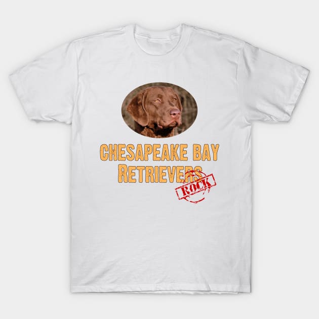 Chesapeake Bay Retrievers Rock! T-Shirt by Naves